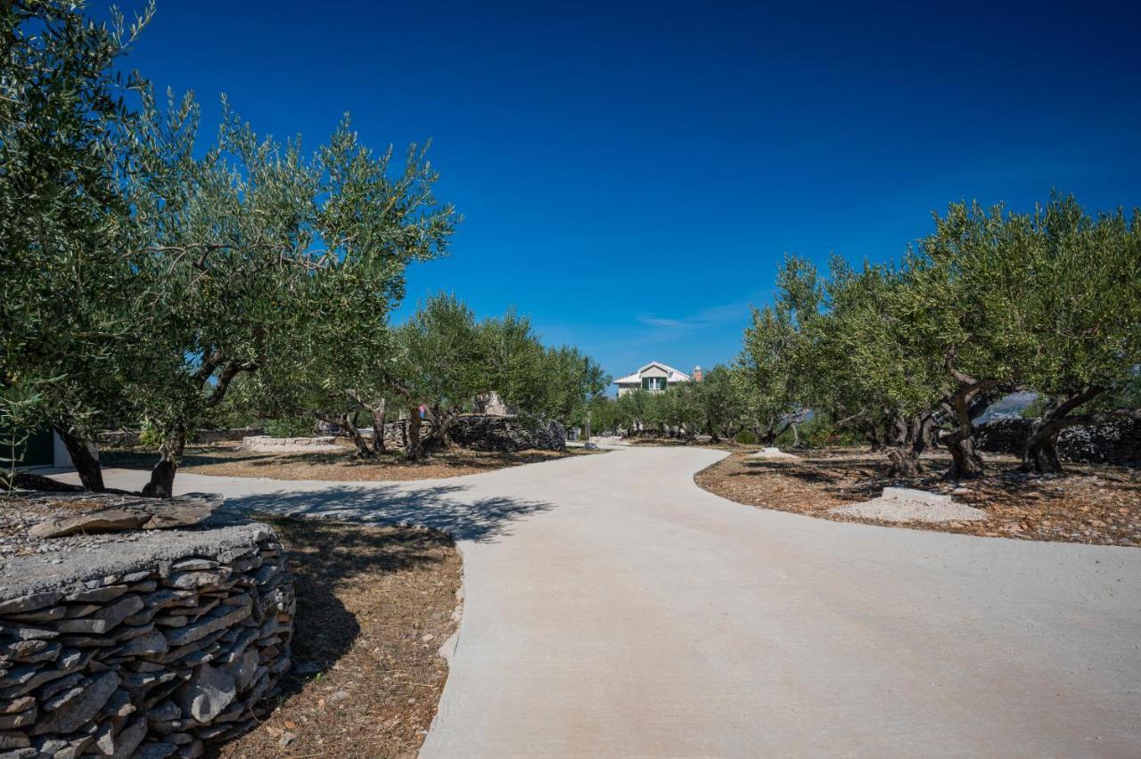 Olive Park House Brac Villa Povlja  Eksteriør billede